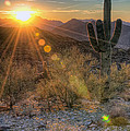 Desert Sunset