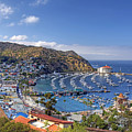 Avalon
