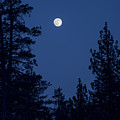 Full Moon Rising